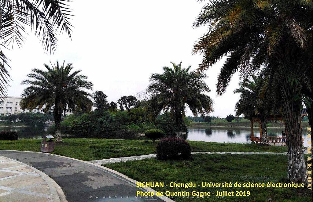 Chengdu- Universite Science electronique 076.jpg